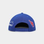 DETROIT PISTONS FINALS ICON 9FIFTY SNAPBACK